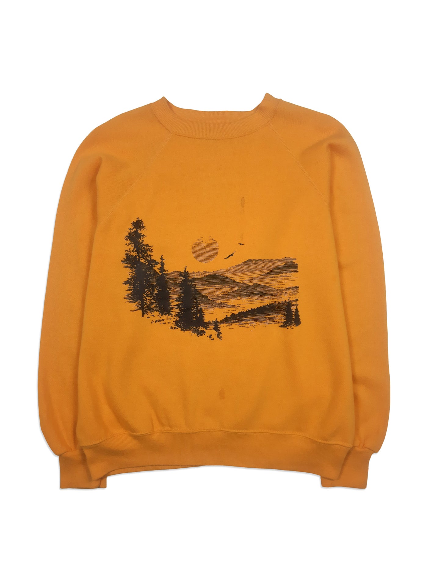 Vintage 1986 Made in USA Nature Sweatshirt (L)