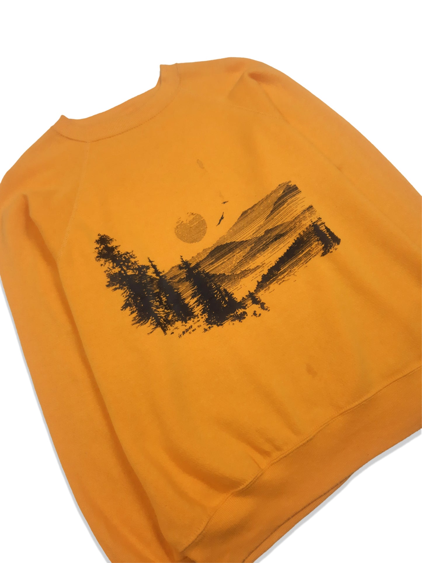 Vintage 1986 Made in USA Nature Sweatshirt (L)